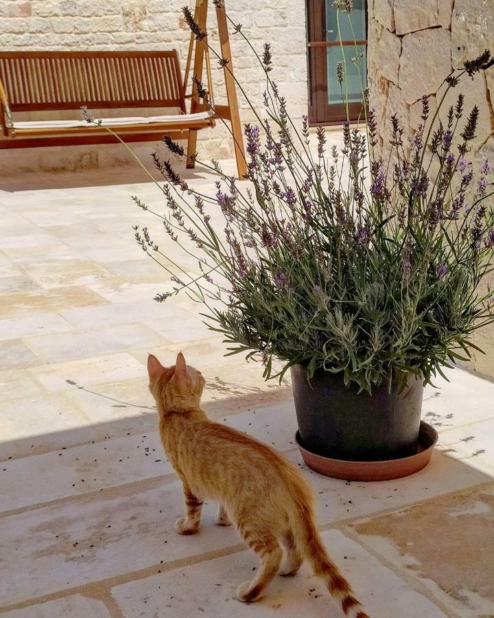 Le Chiancarelle, Casa Vacanza Alberobello Bagian luar foto